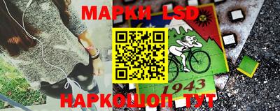 гидропоника Краснознаменск