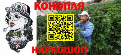 гидропоника Краснознаменск