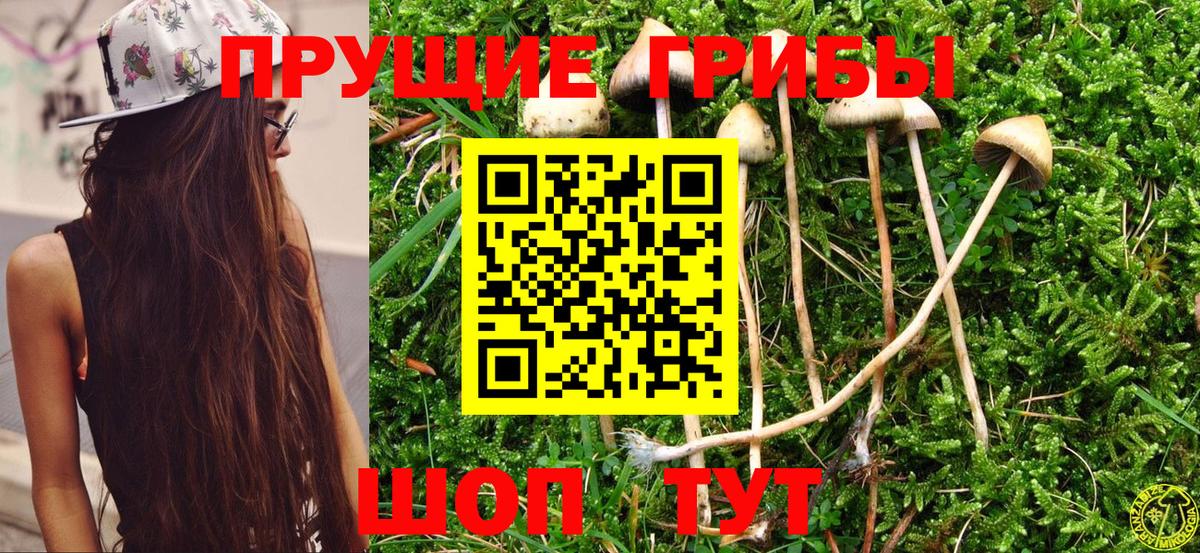 Псилоцибиновые грибы мухоморы Кисловодск